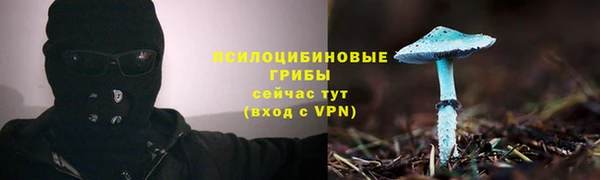 mdpv Алзамай